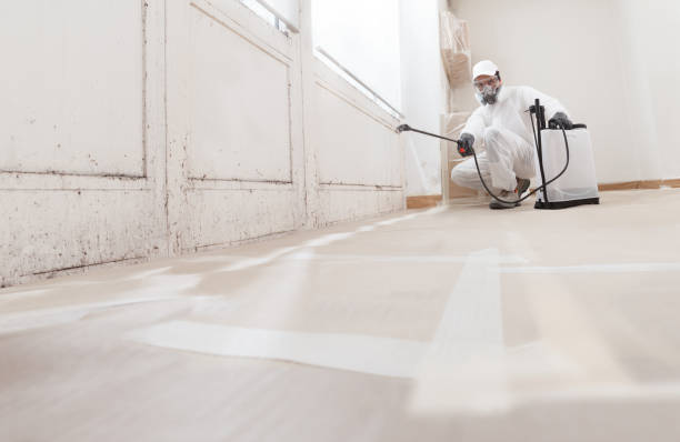24/7 Emergency Mold Remediation experts in Heathsville, VA